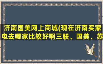 济南国美网上商城(现在济南买家电去哪家比较好啊三联、国美、苏宁 )